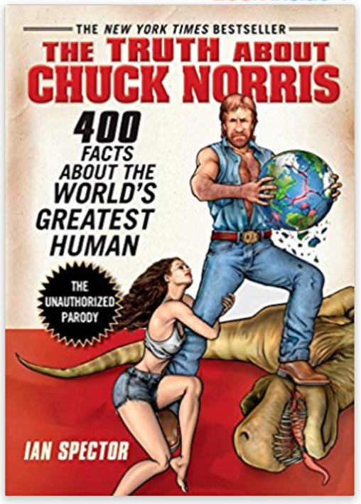 chuck norris book