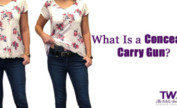 what is a concealed carry gun content final